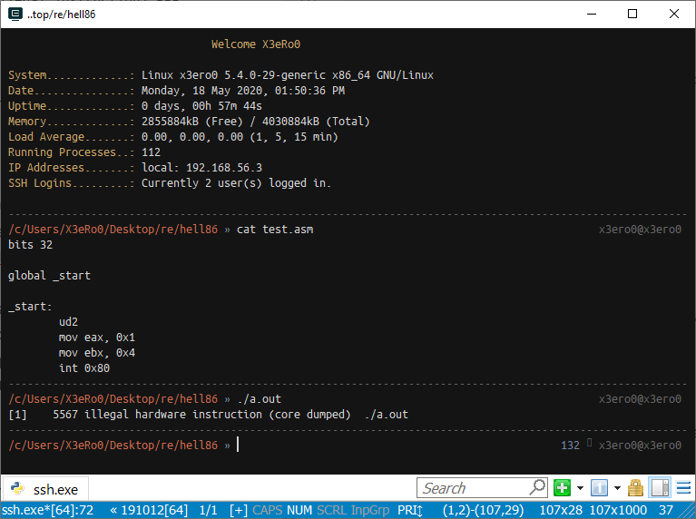 a test asm binary crashing with SIGILL